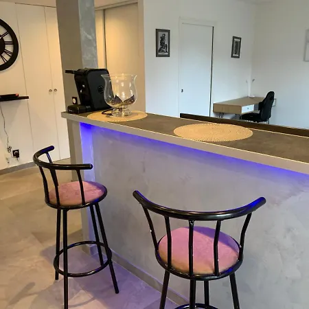 Grand Tres Agreable Avec Bar, Cuisine Et Terrasse